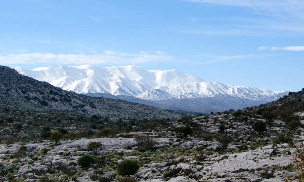 Μεγάλη επιχείρηση της Πυροσβεστικής στην Κρήτη: 5 άτομα εγκλωβίστηκαν στο ψηλότερο σημείο του Ψηλορείτη